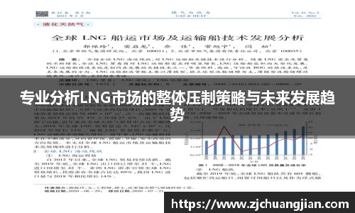 专业分析LNG市场的整体压制策略与未来发展趋势