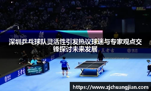 深圳乒乓球队灵活性引发热议球迷与专家观点交锋探讨未来发展